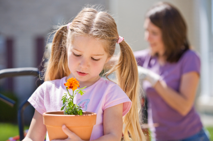 istock_000005894108xsmall